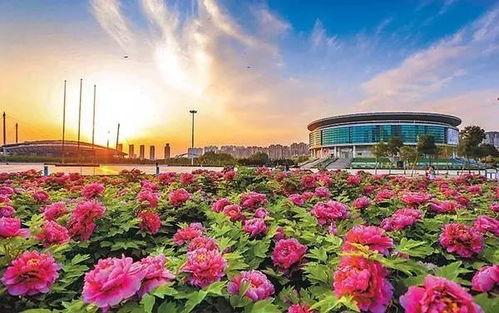 洛阳植物园爆料视频播放