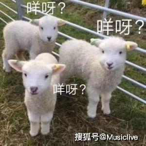 小羊新外观爆料视频,视频爆料带你领略全新风采 第3张 小羊新外观爆料视频,视频爆料带你领略全新风采 第3张